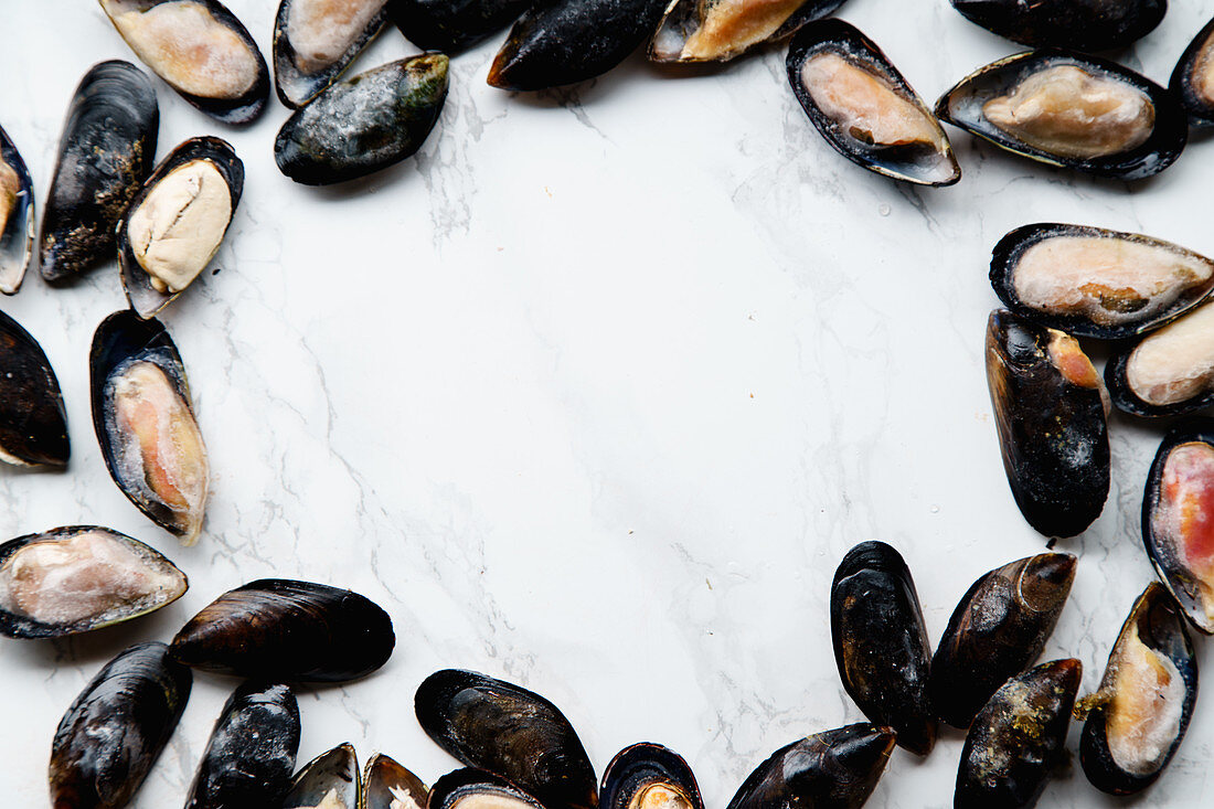Top view with frozen mussels on white marble background layed in frame shape