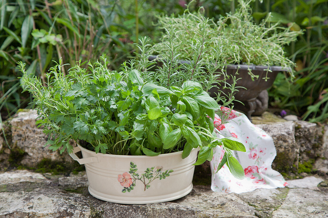 Kitchen herbs in zinc tub decorated with floral motif