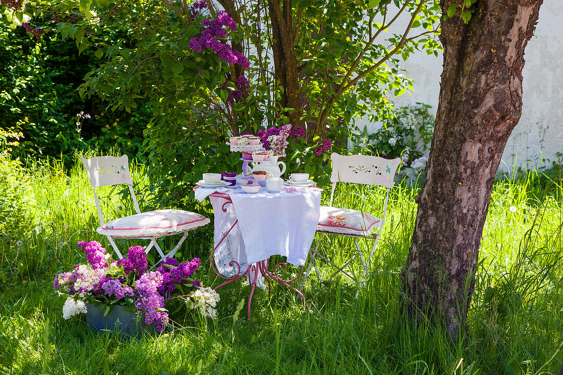Gedeckter Tisch, Stühle und Wanne mit Fliedern im Garten