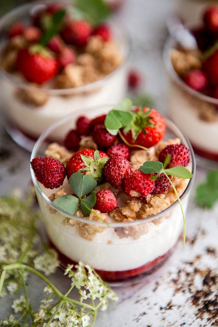 Joghurtcreme mit Crumble und Walderdbeeren