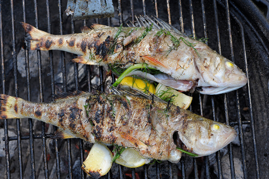 Grilled bass with herbs on a grill (seen from above)