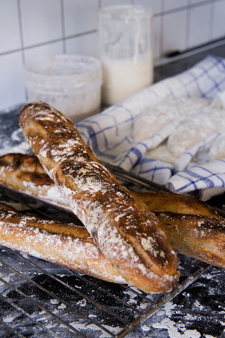 Homemade baguettes on a wire rack