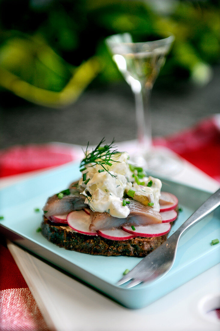A slice of bread topped with radishes, herring and potato salad