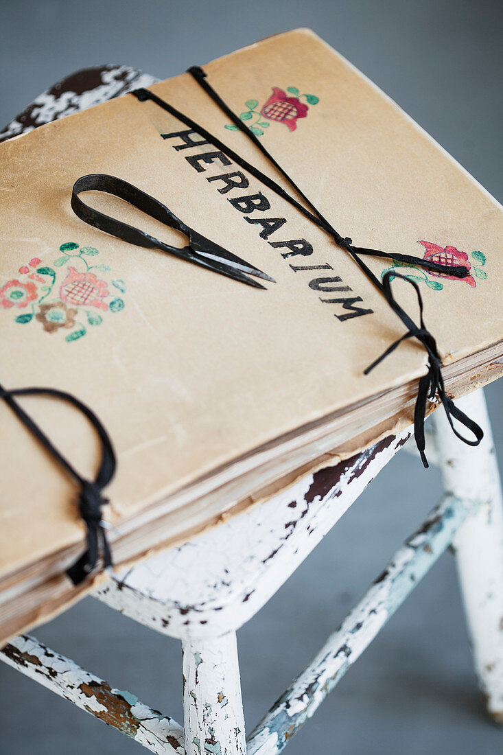 Vintage drawing folder labelled 'Herbarium' on stool