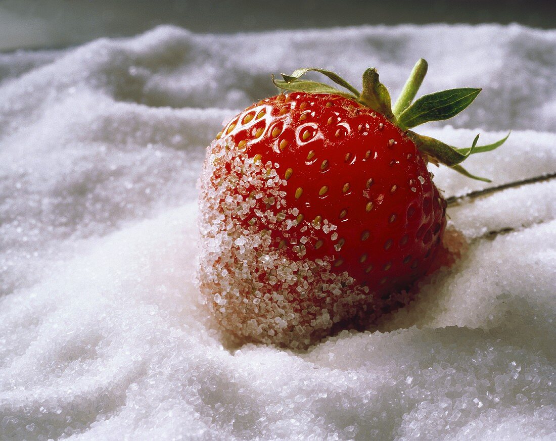 Erdbeere in Zucker gewälzt