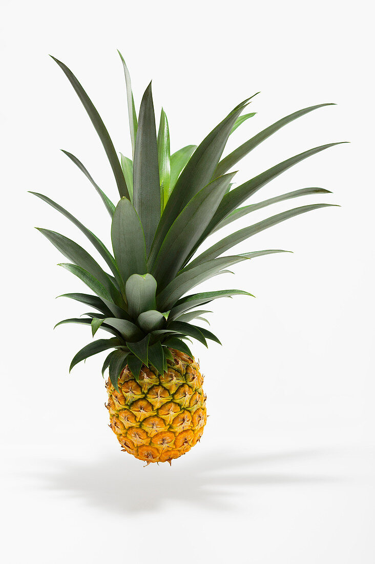 A floating pineapple against a white background