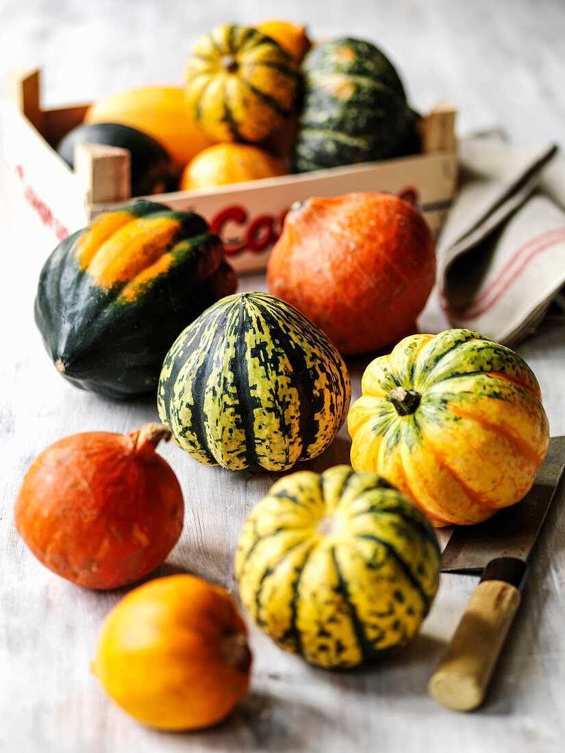 Verschiedene Herbstkürbisse und Gemüsemesser