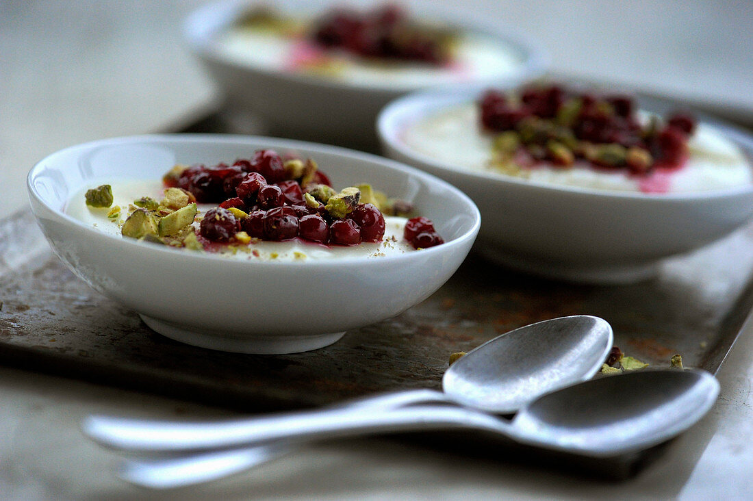 Ashta (arabischer Pudding) mit Preiselbeeren und Pistazien