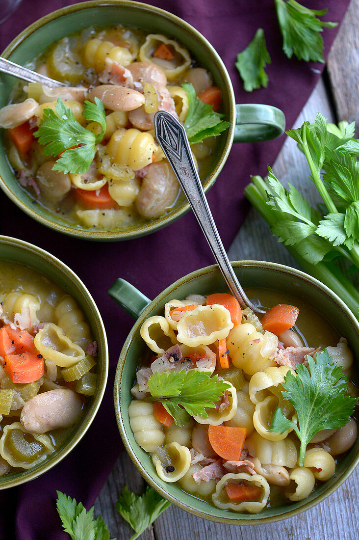 Pasta e Fagioli (pasta with beans, Italy)