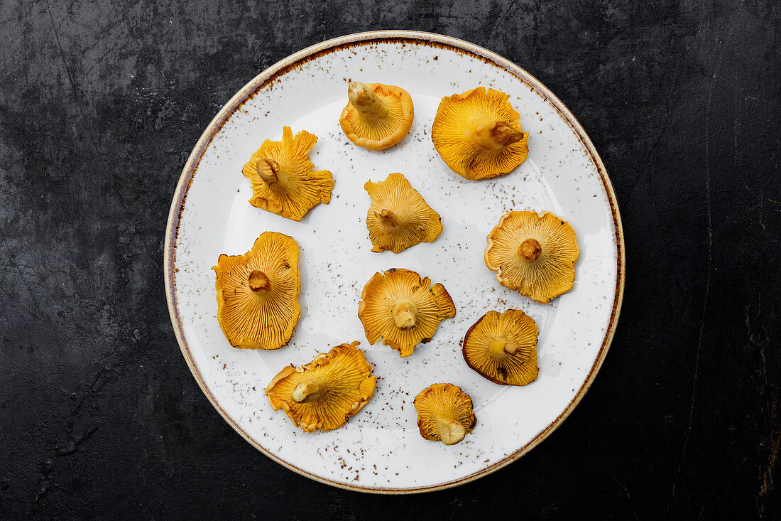 Chanterelle on a white ceramic plate