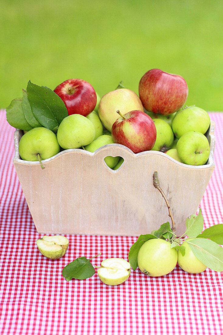 Various types of apples in a basket