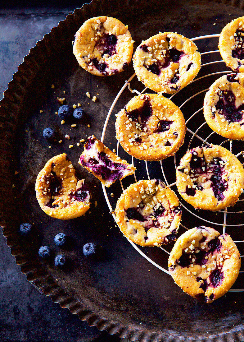 Cheesecake-Muffins mit Heidelbeeren