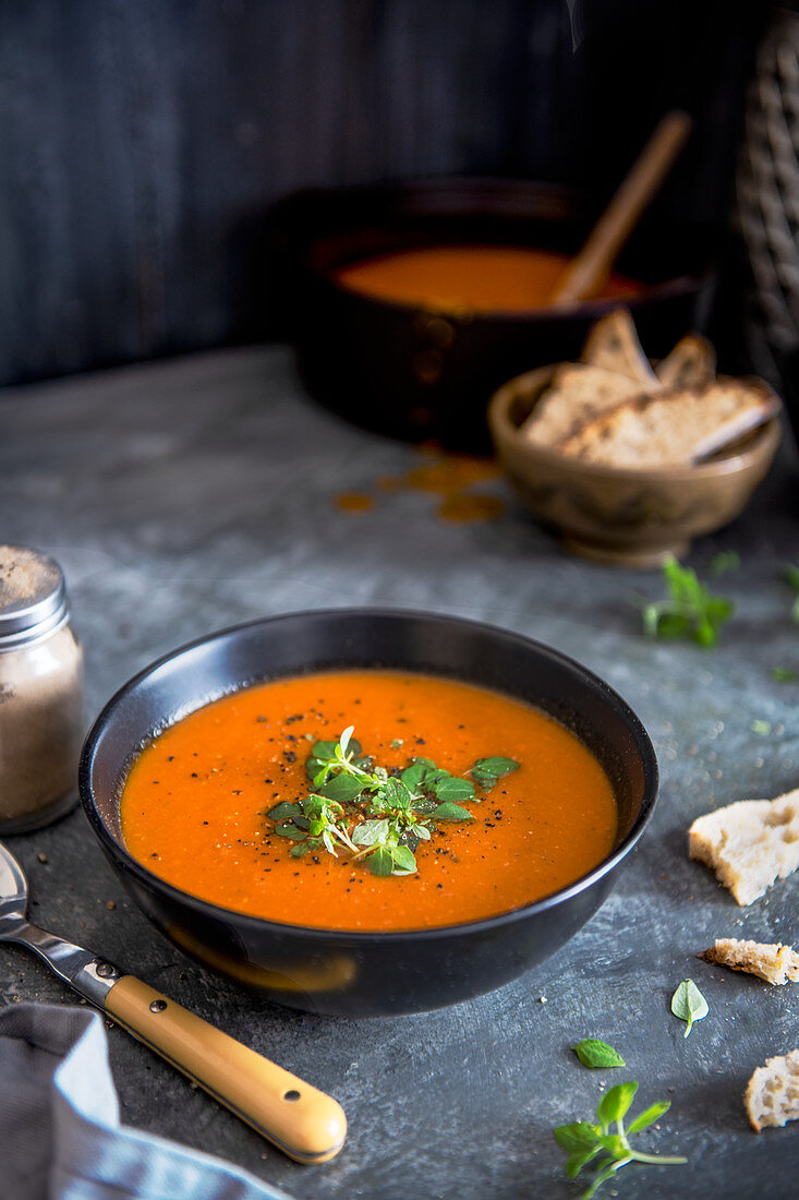 Paprika-Tomaten-Suppe mit Basilikum und Brot
