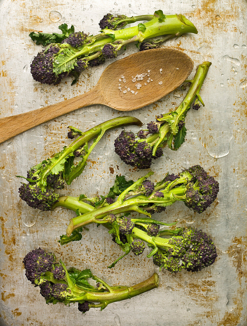 Purple Sprouting Brokkoli und Holzlöffel mit Salz