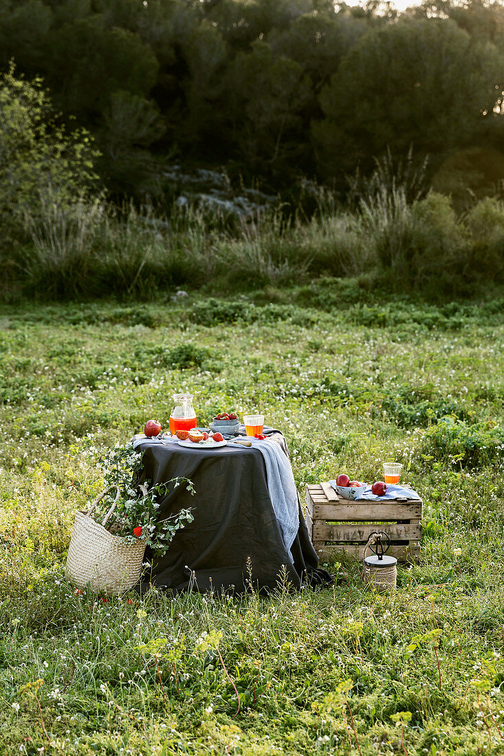 Romantic picnic with apples on grass