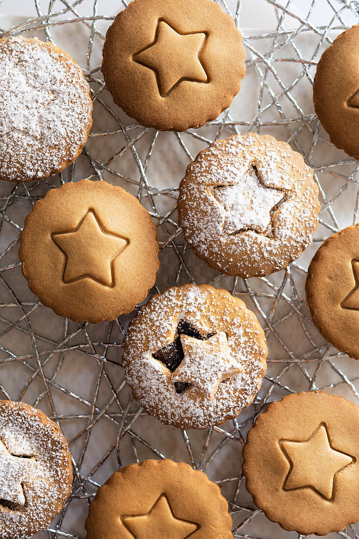 Small gingerbread fruit mince tarts dusted with icing sugar