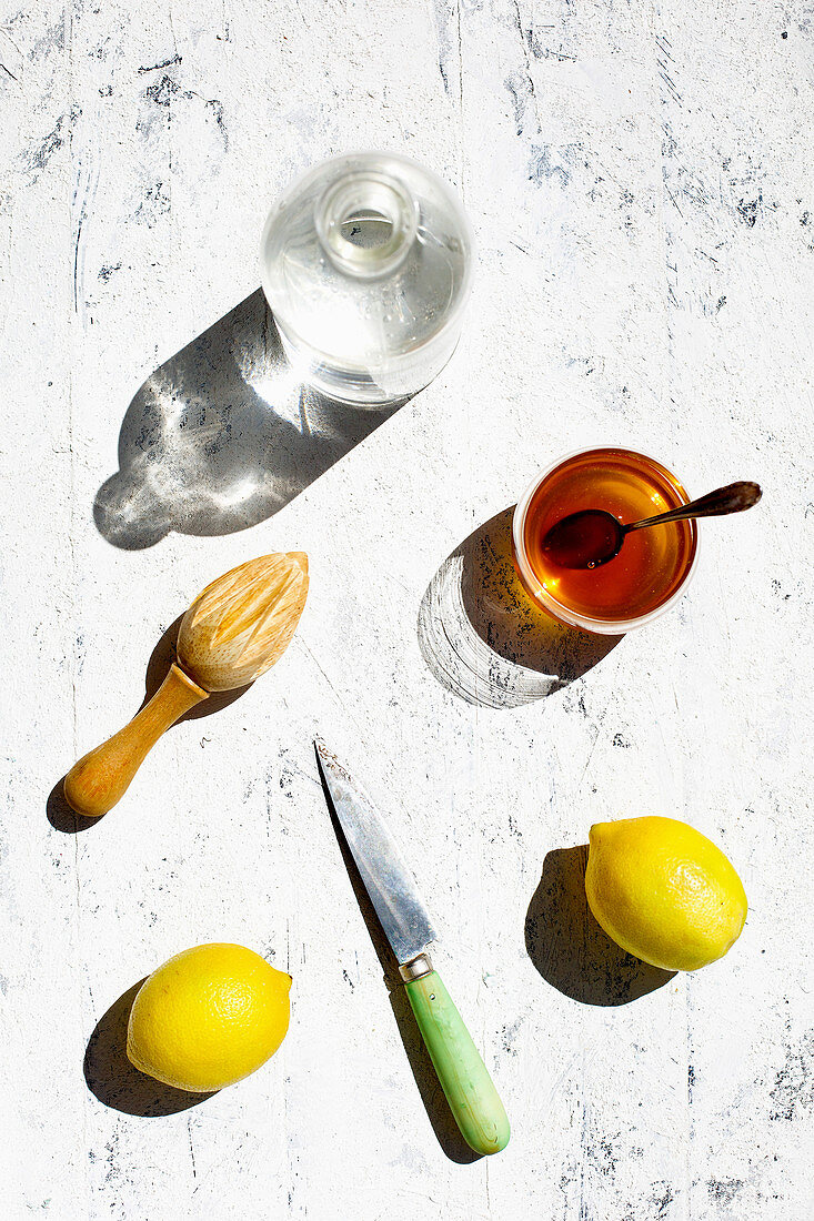 Bee's Knees Cocktail served in vintage glassware