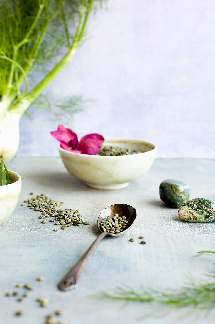 Green Lentil Salad Ingredients on a light blue background