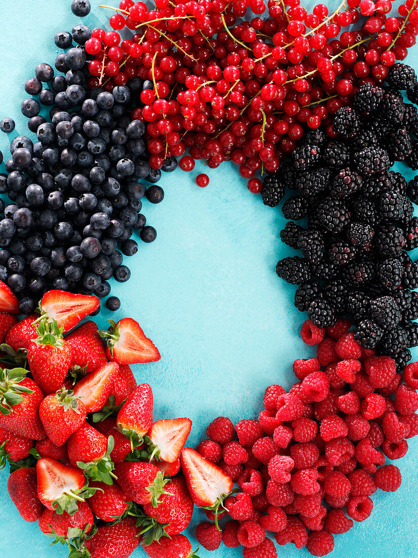 Various berries, arranged in a circle