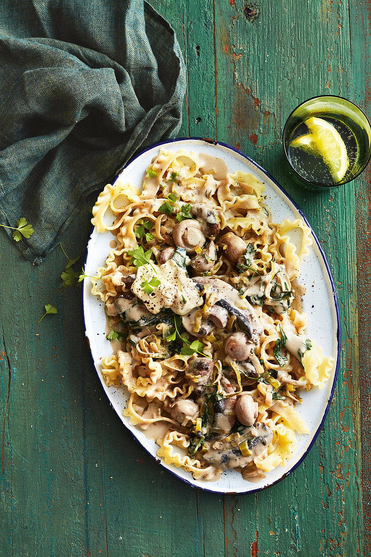 Nudeln Stroganoff mit Pilzragout