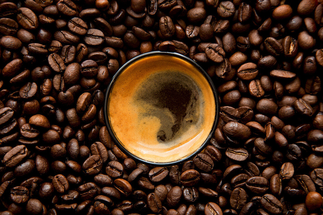 An espresso in the midst of coffee beans (top view)