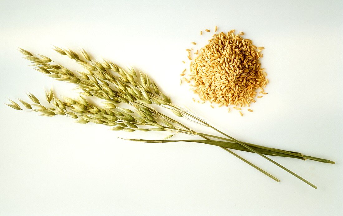 A Pile of Oats with Oat Ears