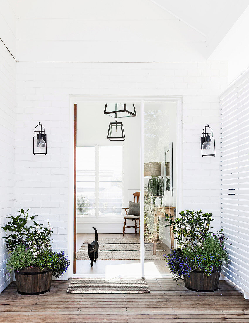 Eingangsbereich mit Pflanzenkübeln und Glastür