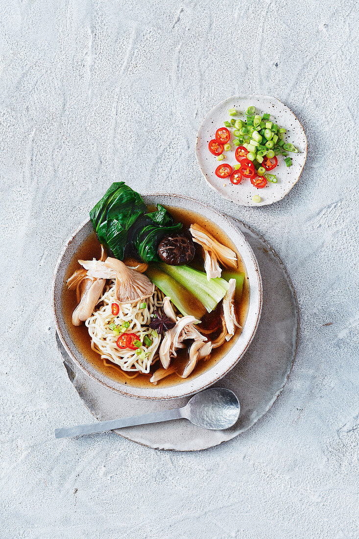 Asian chicken noodle soup