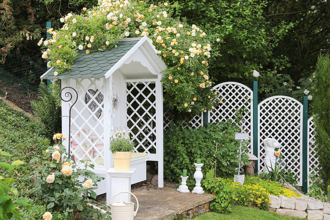 Gazebo with climbing rose 'Ghislane de Feligonde'