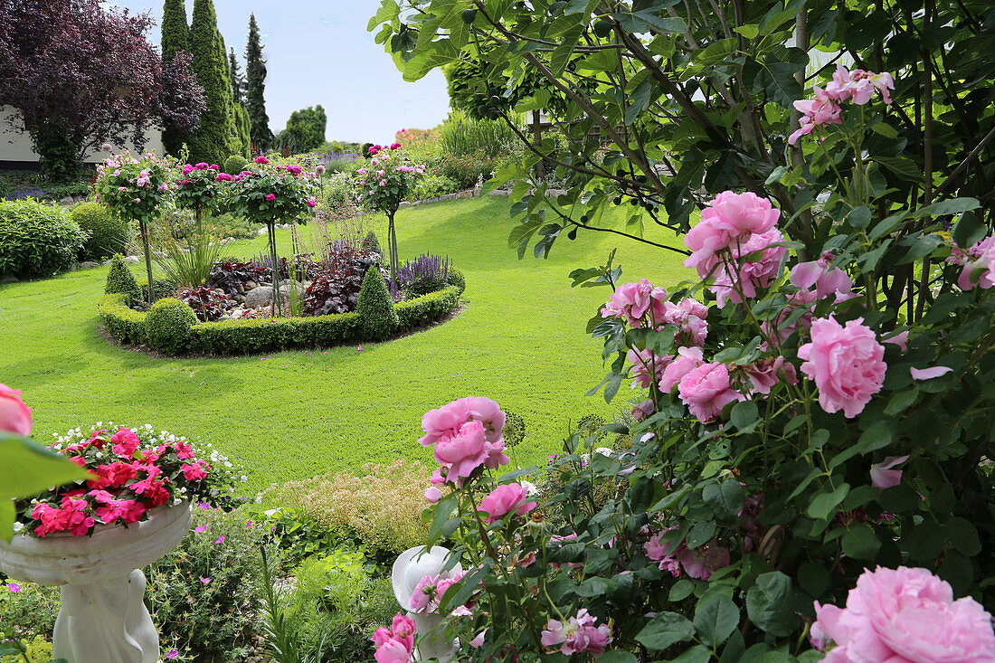 Rondelle with Buxus edging and rose trunks in the lawn