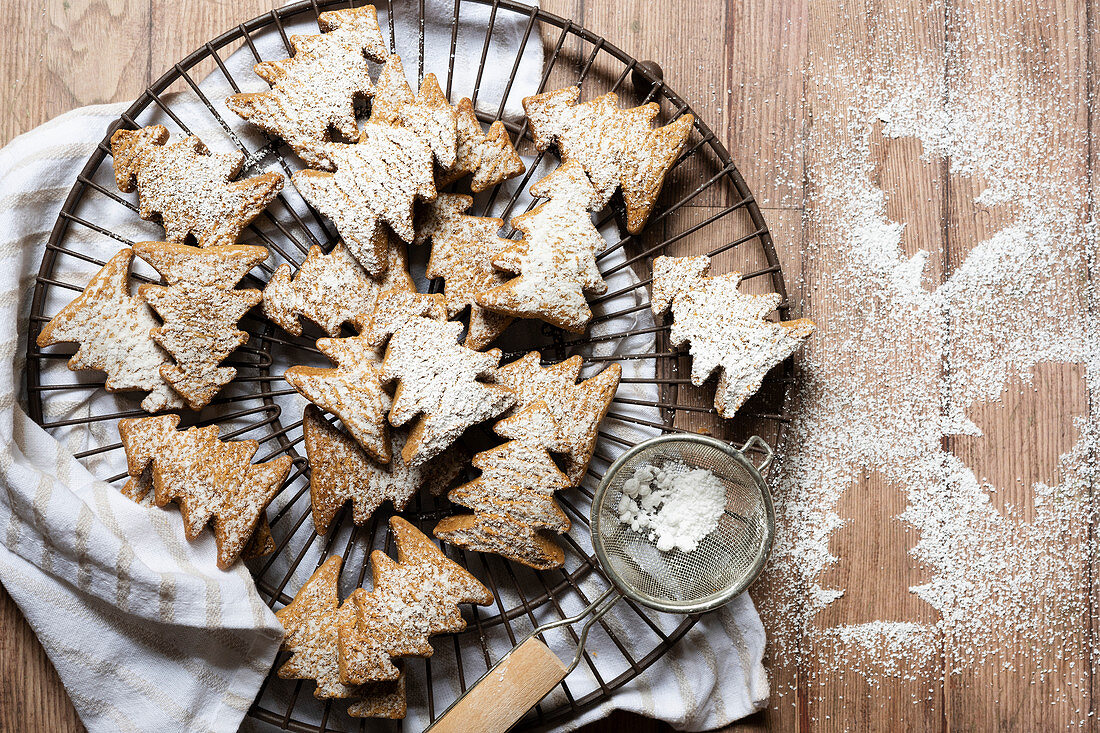 Lebkuchenpätzchen in Weihnachtsbaumform mit Puderzucker bestäubt