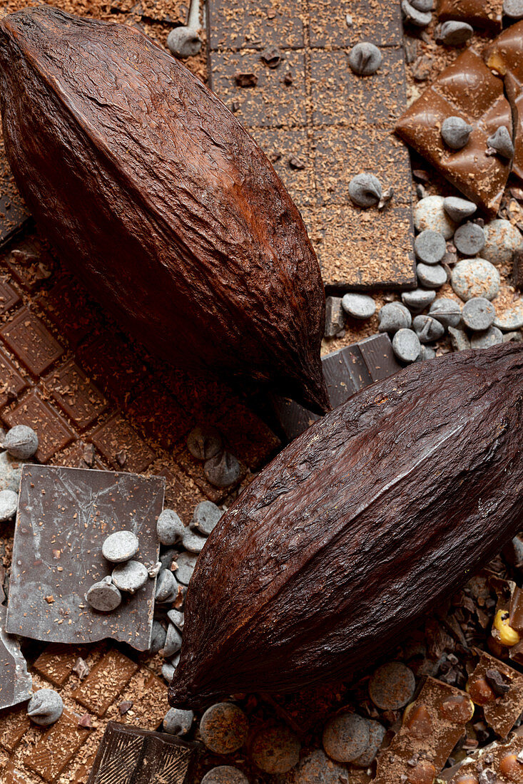 Schokoladenstilleben mit zwei Kakaobohnen (bildfüllend)