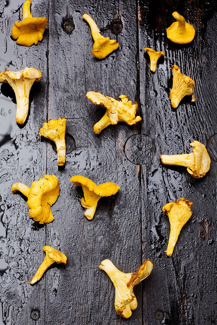 Chanterelle mushrooms on a dark wooden surface
