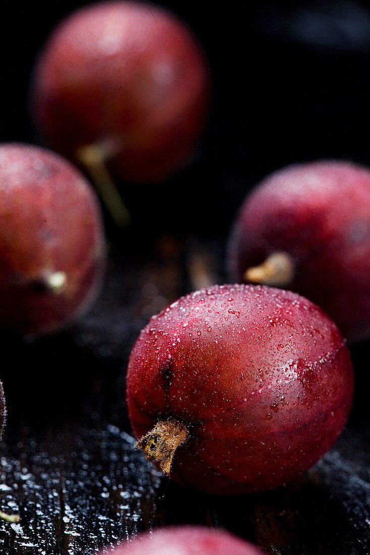 Rote Stachelbeeren close up