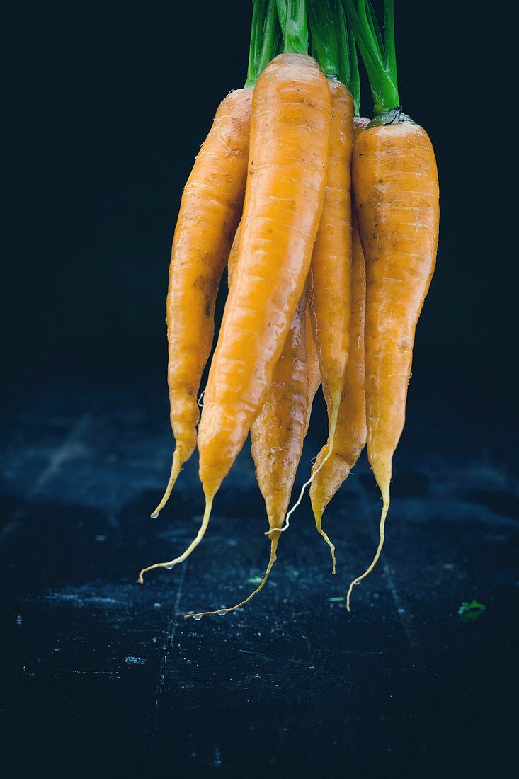 A bundle of freshly washed carrots