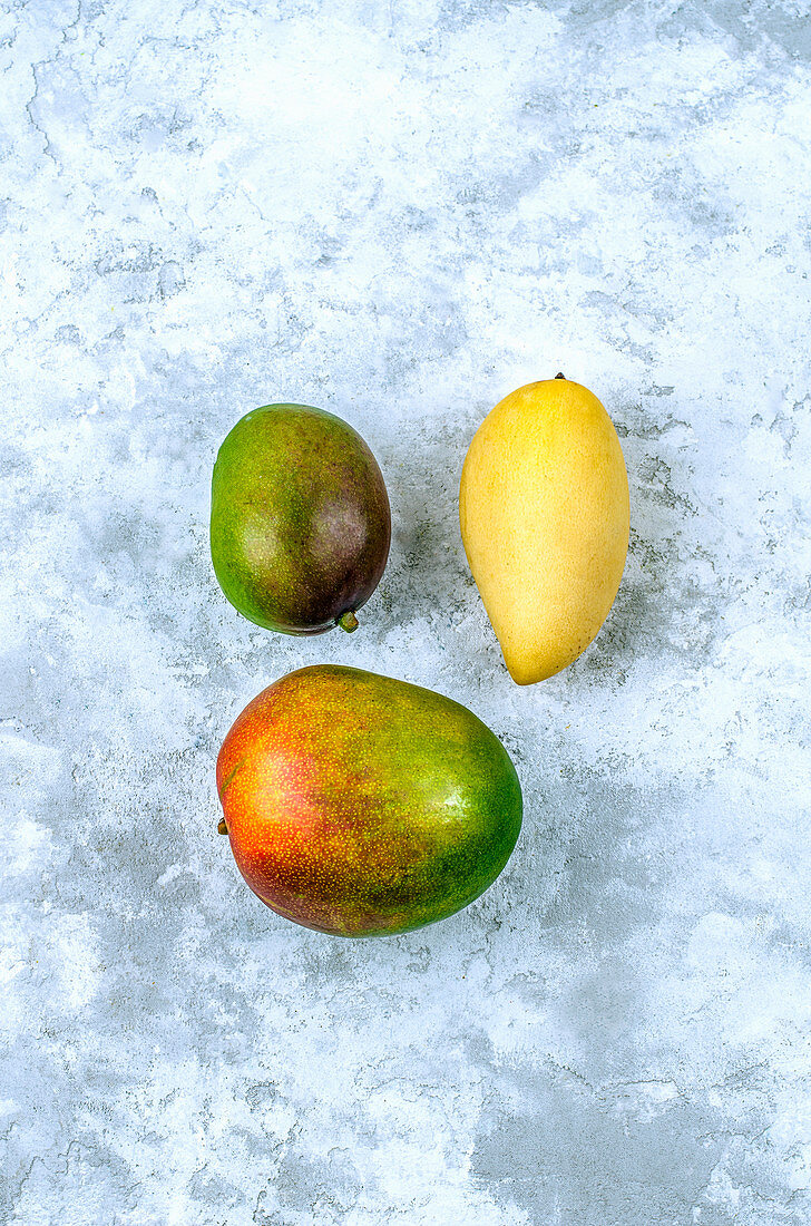 Drei verschiedene Mangos auf grauem Untergrund (Aufsicht)