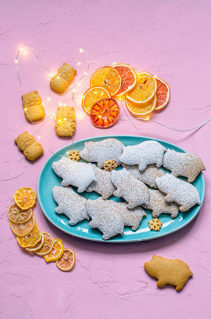 Gingerbread in the form of pigs on a blue plate sprinkled with powdered sugar, garland and citrus chips (2019 Year of the pig)