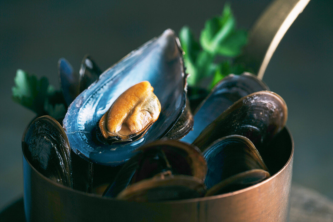 Gekochte Miesmuscheln in Kupferstieltopf (Nahaufnahme)