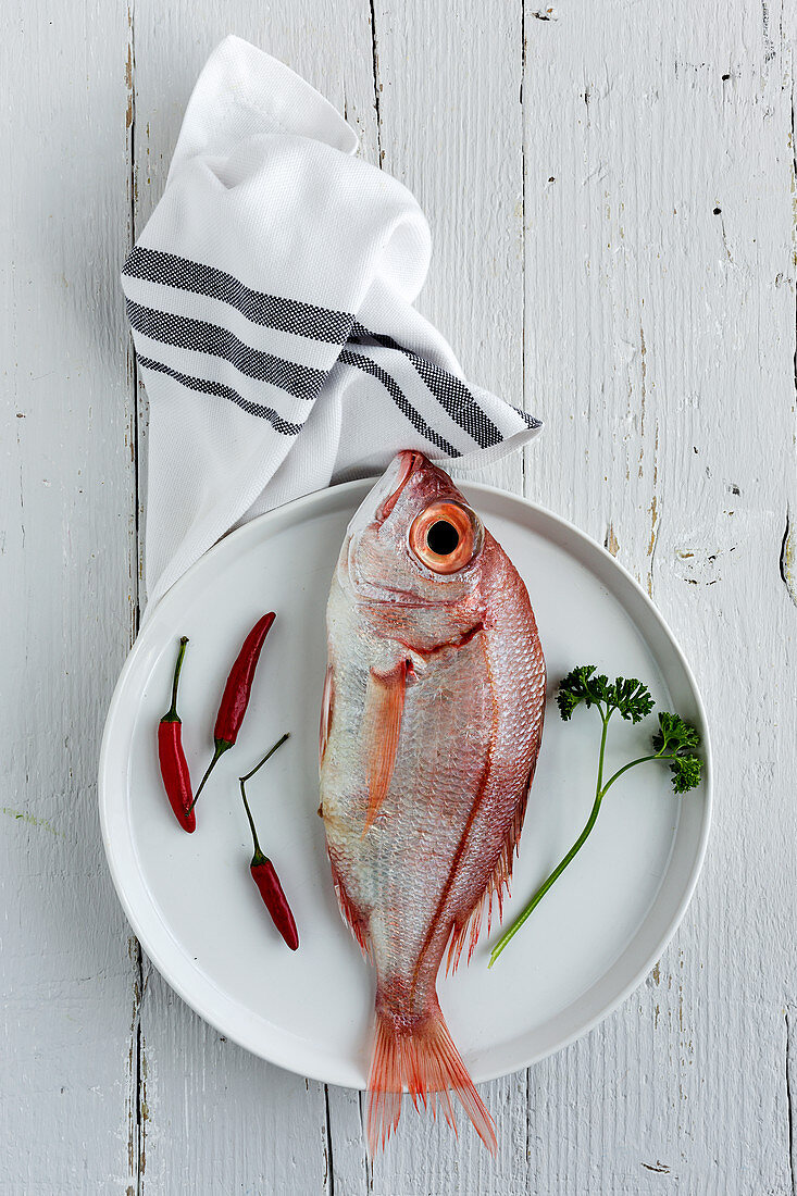 Uncooked red fish lying on plate near small red pepper and parsley sprig on white wooden tabletop