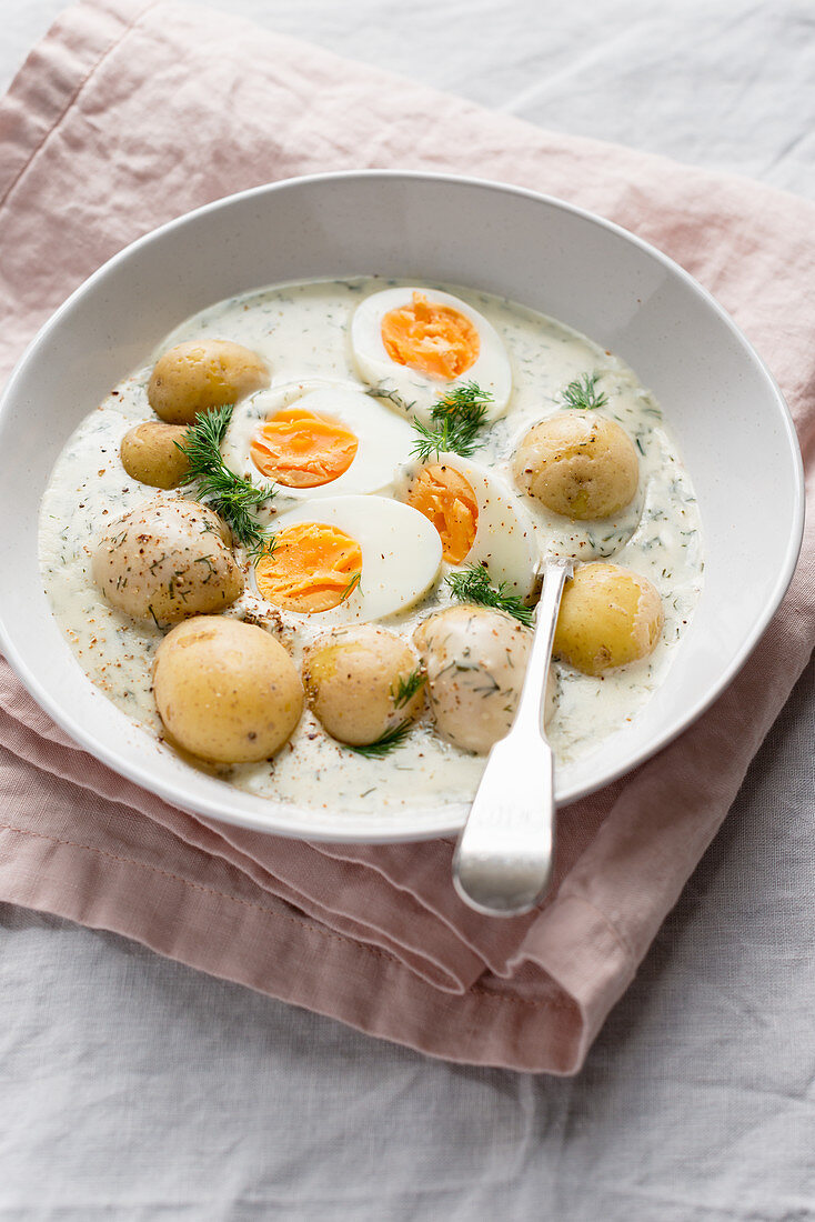 Traditional Czech white dill sauce with boiled potatoes and eggs