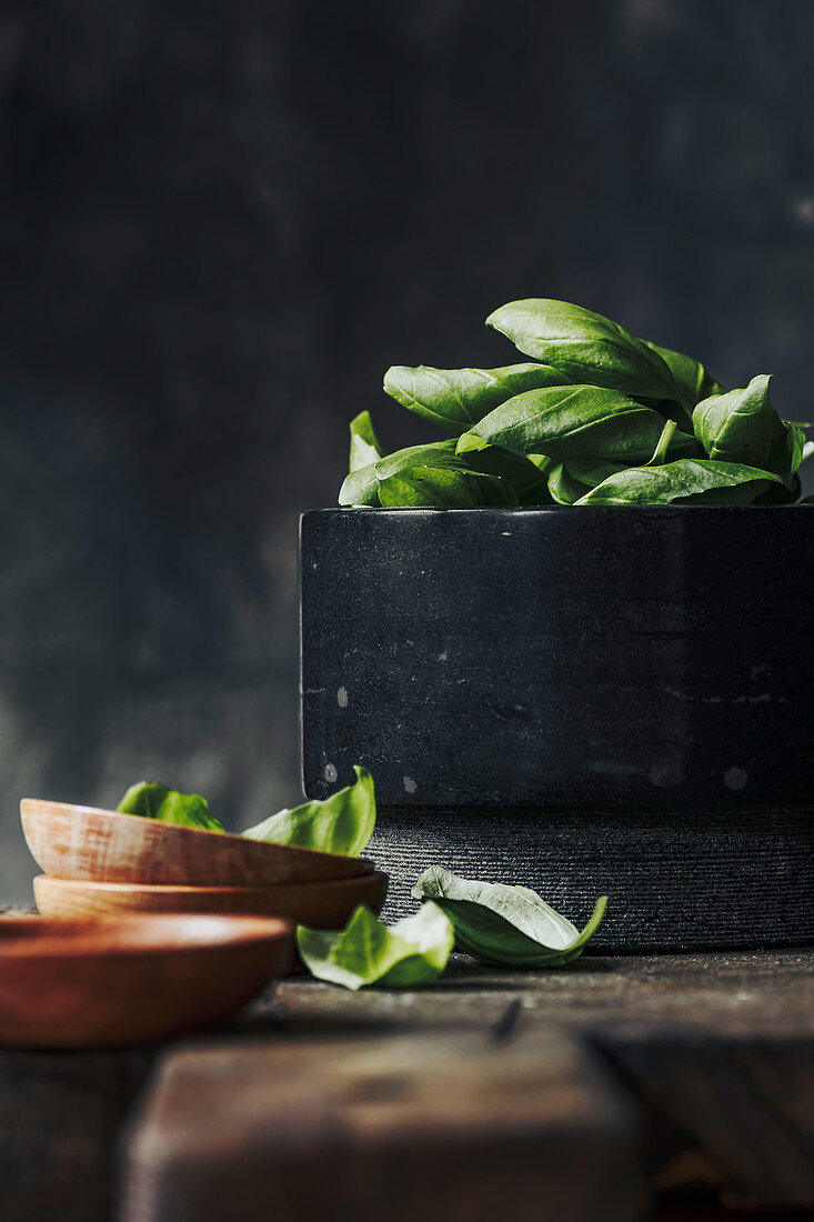 Fresh basil leaves