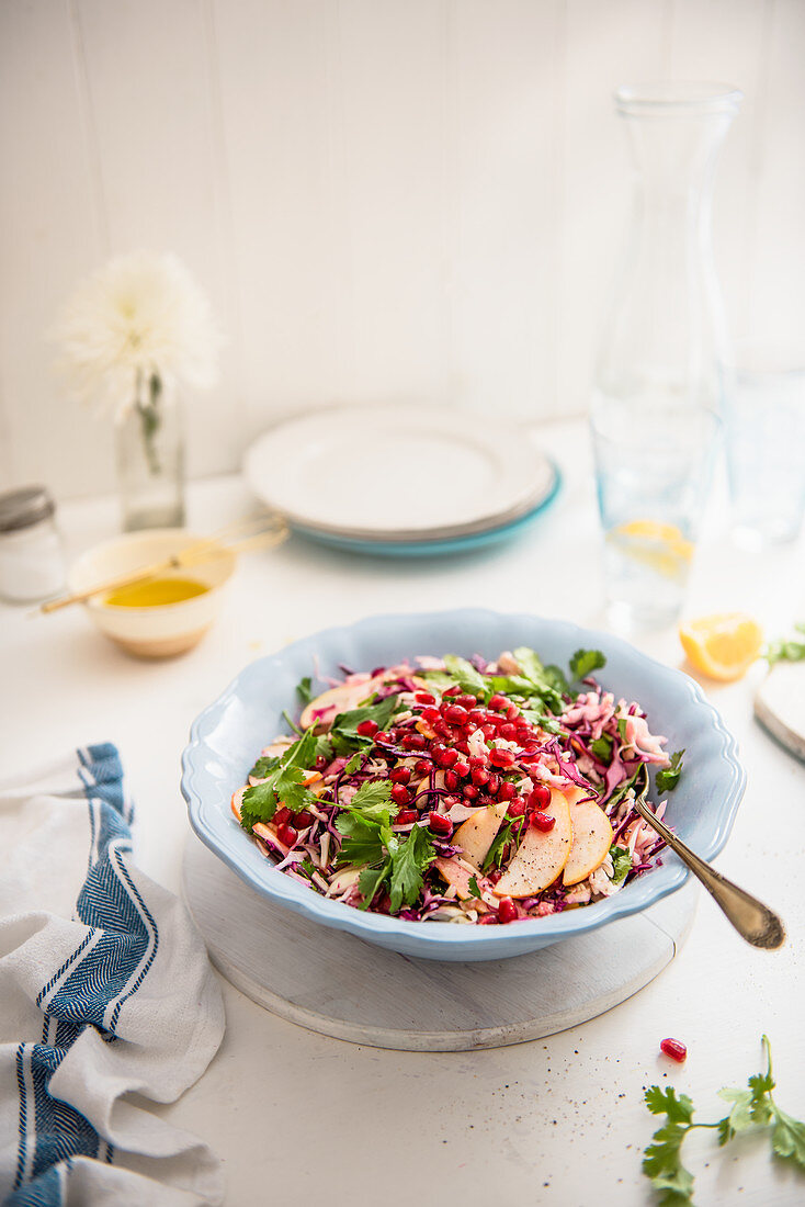Crunchy red and white cabbage salad with apple, pomegranate, coriander and cider honey vinaigrette