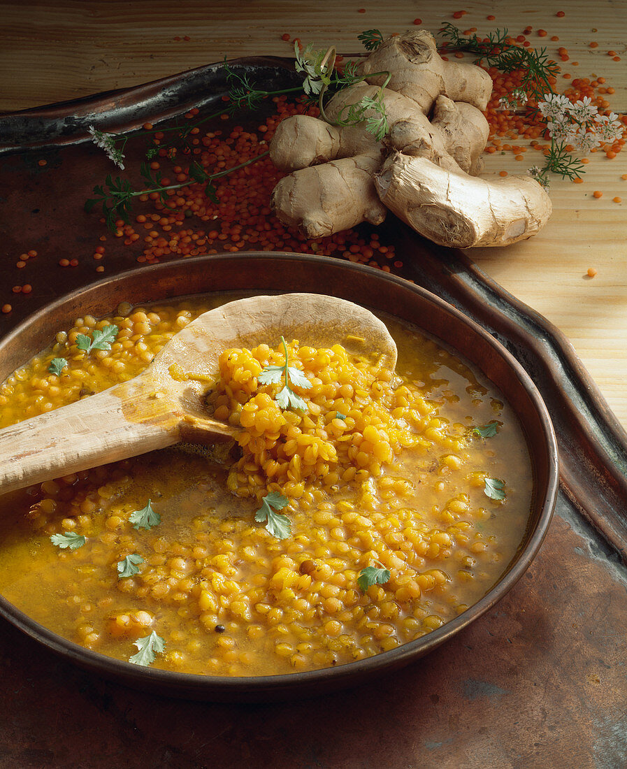 Rotes Linsencurry mit Koriandergrün und Ingwer (Indien)