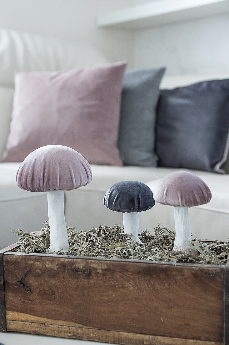 Selbstgemachte Pilze mit Samthütchen in einer Holzkiste