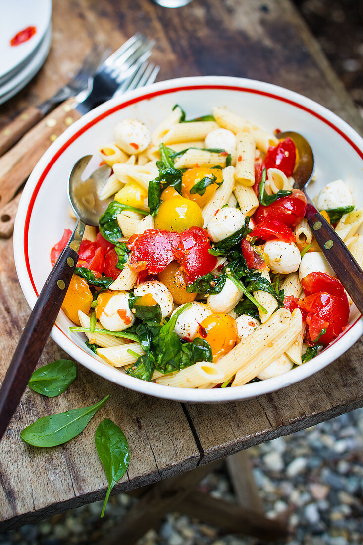 Pasta salad with tomatoes, mozzarella and baby spinach on an outdoor table