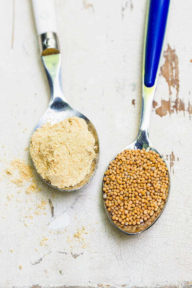 Mustard flour and mustard seeds on spoons (ingredients for sweet mustard)