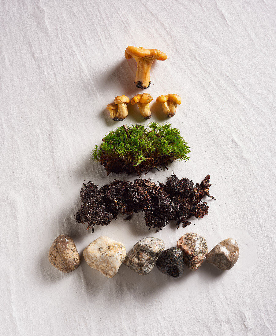 Stones, earth, moss and chanterelles arranged in a pyramid shape