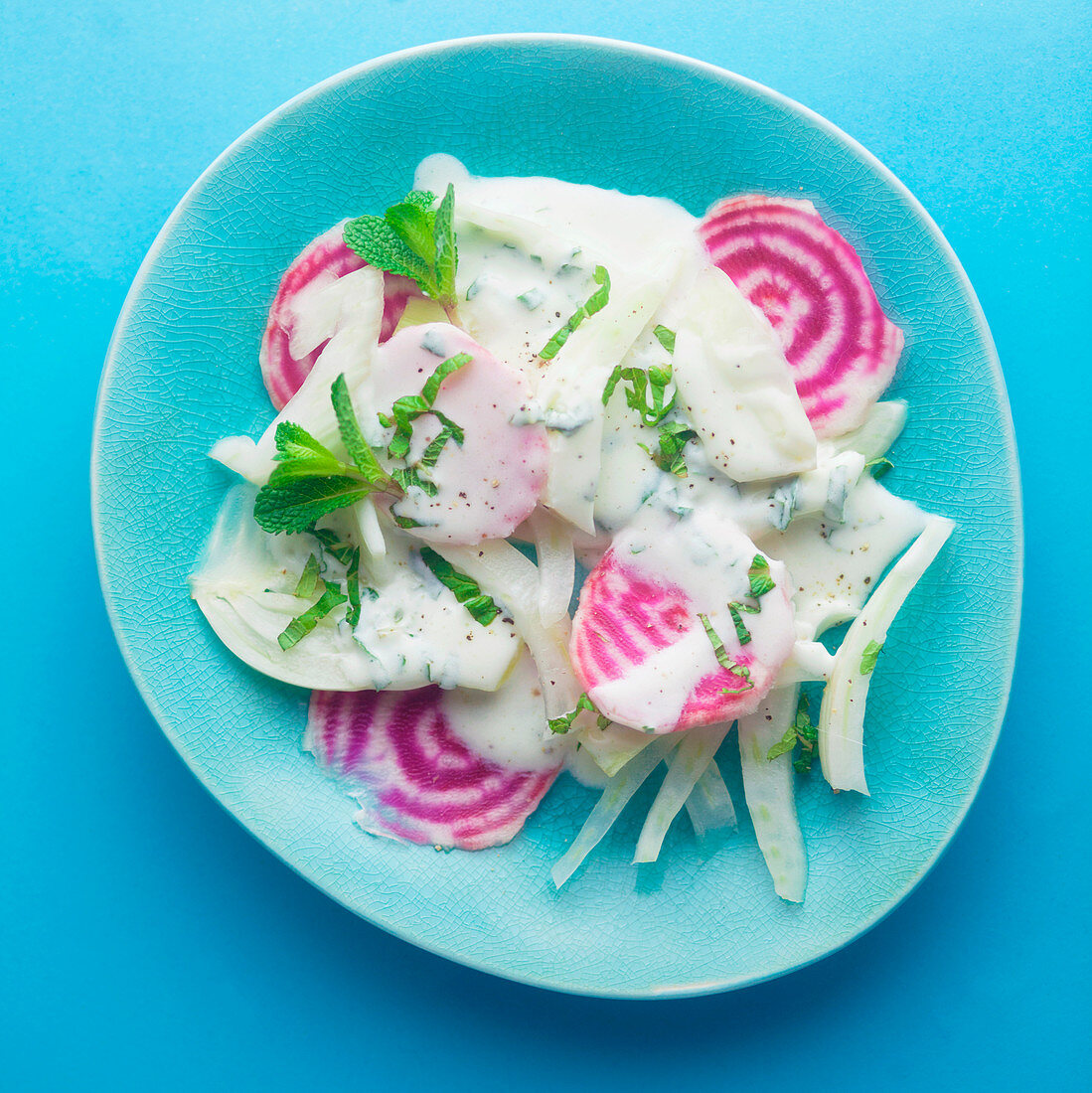 Chioggia-Fenchel-Salat mit Joghurt-Minz-Dressing auf blauem Untergrund