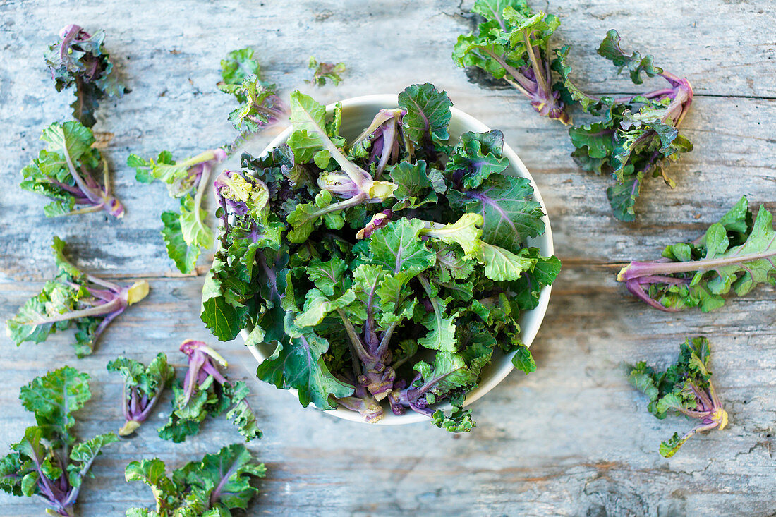 Flower Sprouts (Kreuzung Rosenkohl und Grünkohl)