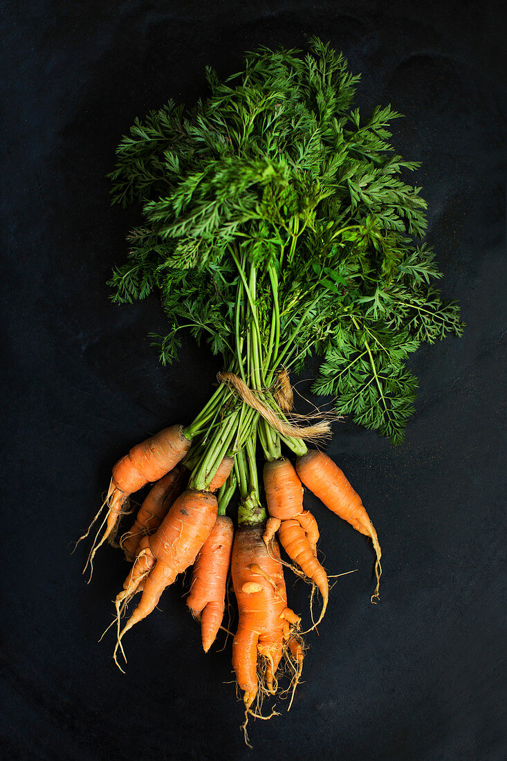A bunch of crooked carrots with greenery